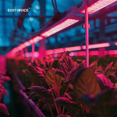 400LED 6252 Triproof Grow Light Bar
